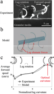 Li research photo1